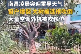 鲍威尔INS：笔直的树是最易崩裂的 竹子/柳枝却能经得起风的肆虐